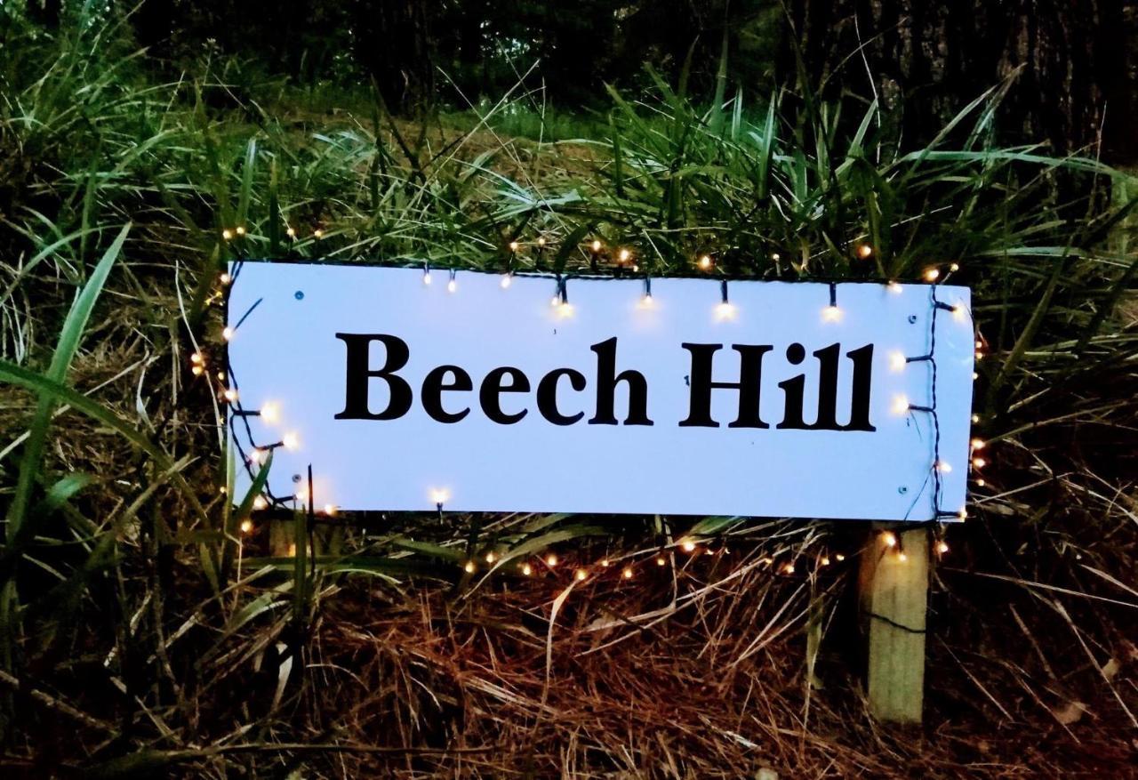 Beech Hill - Pet Friendly Holiday Home Tasman Exterior foto
